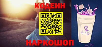 индика Можга