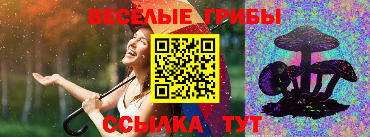 Якутск  Псилоцибиновые грибы Psilocybe  Псилоцибиновые грибы мицелий  Вход с VPN 